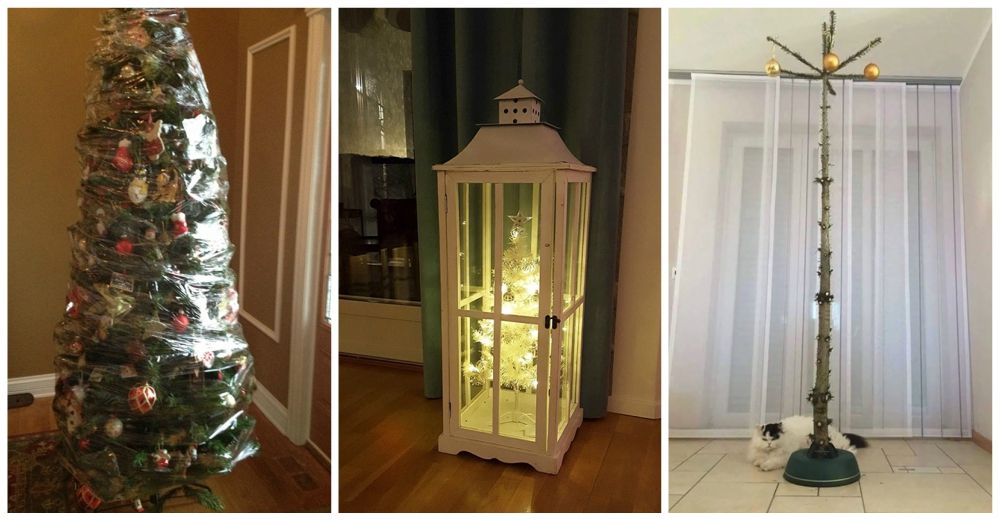 15 brillantes soluciones para una decoración navideña a prueba de mascotas 15 brillantes soluciones para una decoración navideña a prueba de mascotas
