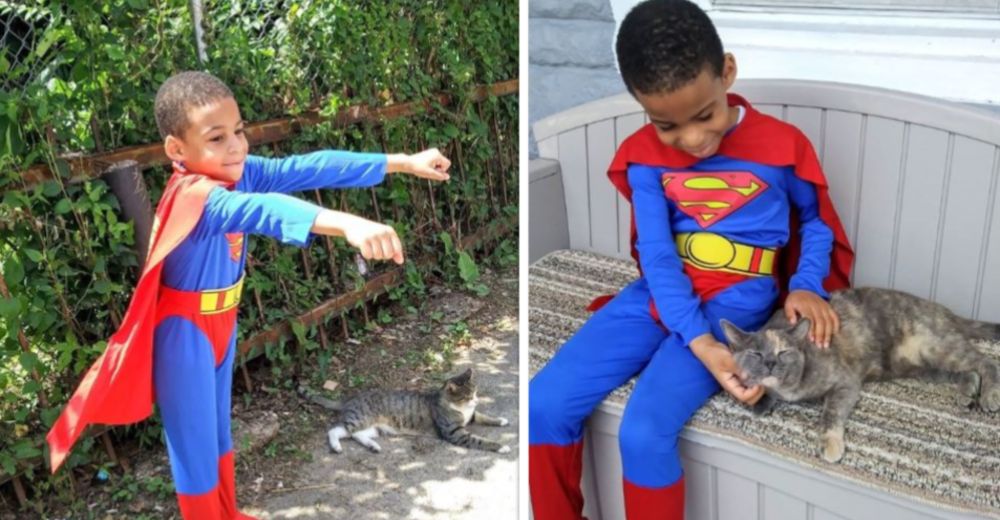 Adorable – Niño de 8 años se convierte en Catman: el superhéroe de los gatos