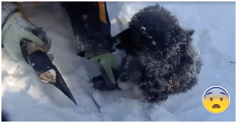 Estuvo a punto de morir atrapado en la nieve… pero estos héroes lograron salvarlo Estuvo a punto de morir atrapado en la nieve… pero estos héroes lograron salvarlo