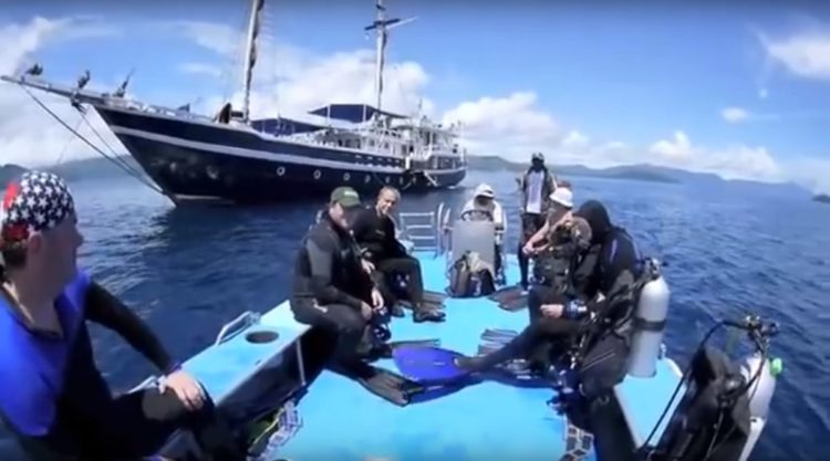 4 tiburón ballena rescatados de redes de pesca, bahía Cenderawasih, Indonesia whale sharks rescued divers fishing net boat