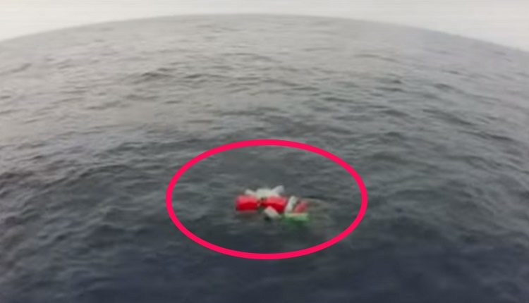 equipo antidrogas realizaba busqueda de rutina cuando encontraron dos tortugas marinas enredadas en redes afortunadamente logran rescatarlas coastguard sea turtles rescue tangled