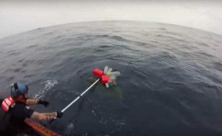 equipo antidrogas realizaba busqueda de rutina cuando encontraron dos tortugas marinas enredadas en redes afortunadamente logran rescatarlas coastguard sea turtles rescue tangled