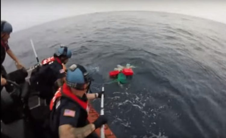 equipo antidrogas realizaba busqueda de rutina cuando encontraron dos tortugas marinas enredadas en redes afortunadamente logran rescatarlas coastguard sea turtles rescue tangled