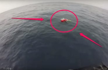 equipo antidrogas realizaba busqueda de rutina cuando encontraron dos tortugas marinas enredadas en redes afortunadamente logran rescatarlas coastguard sea turtles rescue tangled