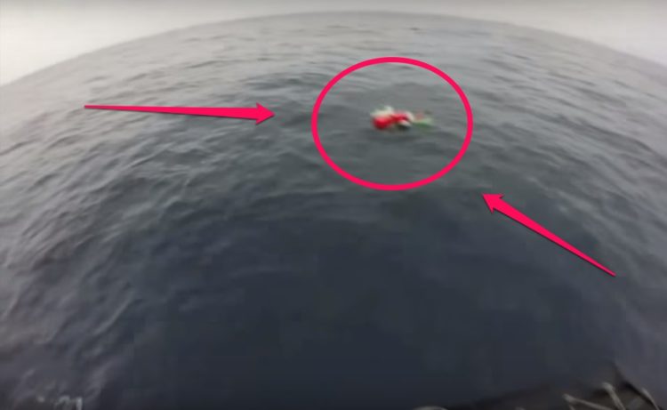 equipo antidrogas realizaba busqueda de rutina cuando encontraron dos tortugas marinas enredadas en redes afortunadamente logran rescatarlas coastguard sea turtles rescue tangled