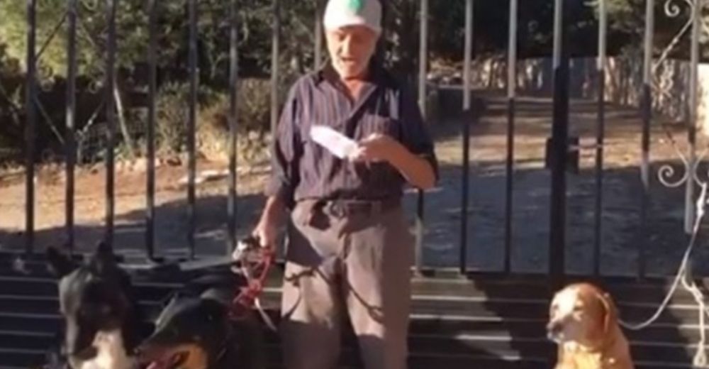 Santiago, el anciano que ha tocado el corazón buscando hogar para sus «hijos» perros