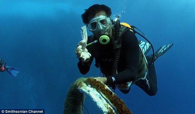 equipo de buzos encuentran un tiburon ballena atrapado en una cuerda de pesca mal descartada y sorprendentemente el animal coopera para su liberacion divers find and rescue whale shark tangled fishing line 