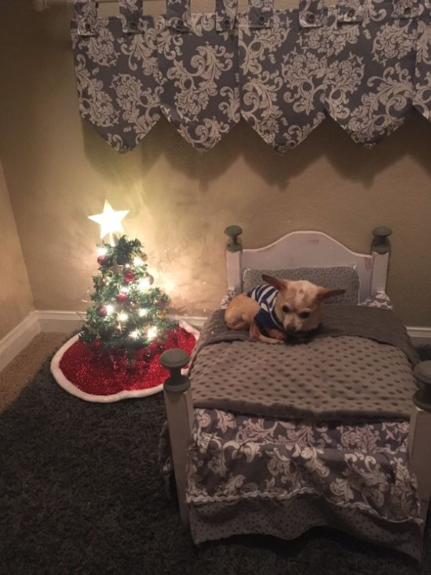 Una mujer sorprende a su perro con un pequeño árbol de navidad sólo para él, Betsy Redfern, Cupid Mississippi christmas tree miniature dog 