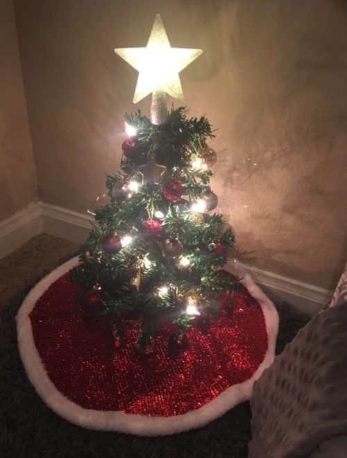 Una mujer sorprende a su perro con un pequeño árbol de navidad sólo para él, Betsy Redfern, Cupid Mississippi christmas tree miniature dog 