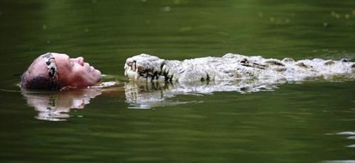 Pocho, un cocodrilo rescatado por un humilde pescador, que lo cuidó hasta  sus últimos días | Zoorprendente