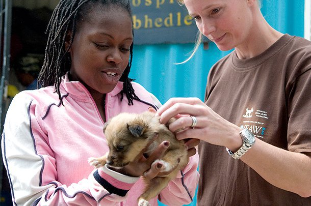 comprobado mostrar compasion por los animales mejora tu salud beneficios empatia voluntariado