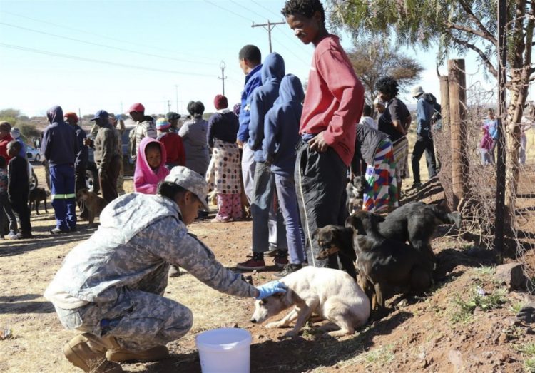 comprobado mostrar compasion por los animales mejora tu salud beneficios empatia voluntariado