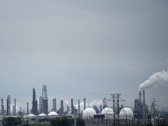  una comunidad entera de delfines en galveston bay envenenados por quimicos de las compañias petroleras liberados durante huracan harvey Valero Energy, ExxonMobil and Arkema, Chevron Phillips