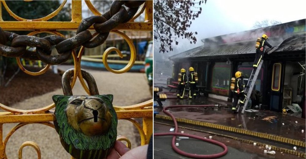 El zoológico de Londres abrió nuevamente sus puertas un día después del devastador incendio