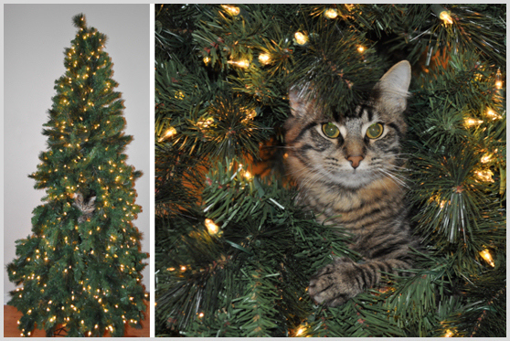 13 gatos en arboles de navidad lista gracioso christmas tree cats catlover escondidos 