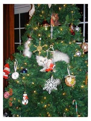 13 gatos en arboles de navidad lista gracioso christmas tree cats catlover escondidos 