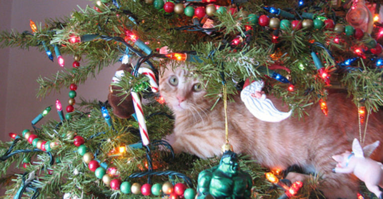 13 gatos en arboles de navidad lista gracioso christmas tree cats catlover escondidos