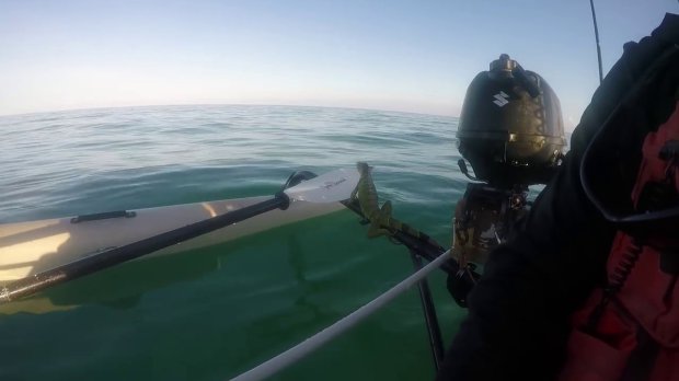 un hombre estaba remando en los cayos de florida y se encuentra con una iguana en el medio del océano a km de distancia de la tierra, sorprendente y muy extraño rescate keys west kayak man steve rescue sea ocean