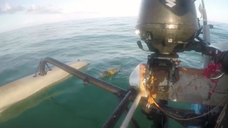 un hombre estaba remando en los cayos de florida y se encuentra con una iguana en el medio del océano a km de distancia de la tierra, sorprendente y muy extraño rescate keys west kayak man steve rescue sea ocean