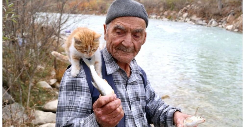 Este hombre jubilado tiene una sola pasión: llenar la barriga de los 35 gatos que cuida Este hombre jubilado tiene una sola pasión: llenar la barriga de los 35 gatos que cuida