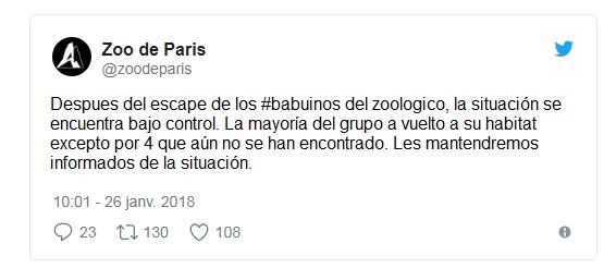 52 babuinos escaparon del zoo de paris esta semana recordatorio de la astucia y deseo de libertad de estas criaturas vincennes grand roche