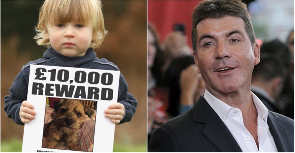 Un niño recuperó a su mascota después de que Simon Cowell ofreciera 11.000 euros de recompensa Un niño recuperó a su mascota después de que Simon Cowell ofreciera 11.000 euros de recompensa