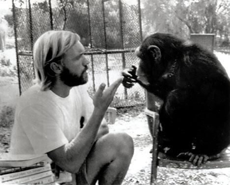 los chimpances tambien dicen groserias y usan malas palabras estudio Project Washoe Dr. R. Allen Gardner and Beatrix T. Gardner lenguaje de señas primates swearing is good for you chimpancees chimps dirty sign language curse 