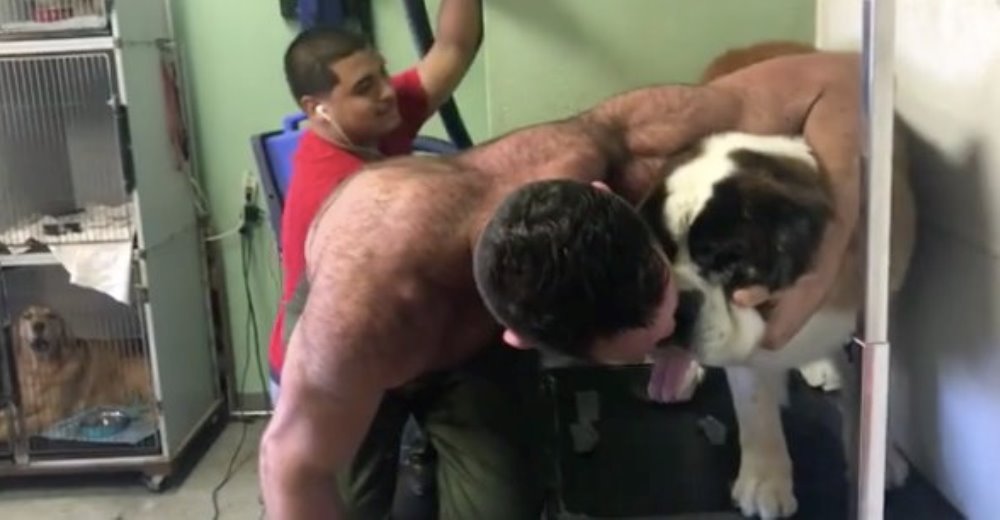 CONMOVEDOR – Esto fue lo que hizo este hombre para que su mascota no se sintiera aterrorizada