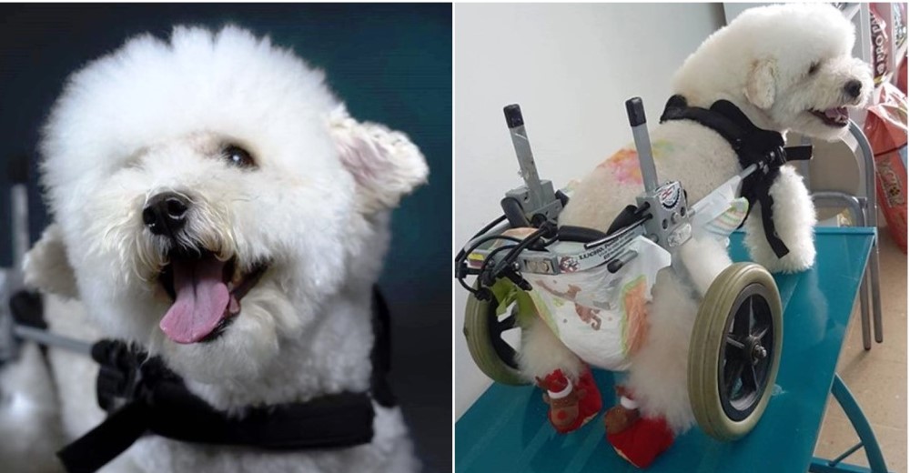 Tras un doloroso pasado de maltratos, desafía a la muerte gracias al amor – Ahora cambia vidas Tras un doloroso pasado de maltratos, desafía a la muerte gracias al amor – Ahora cambia vidas