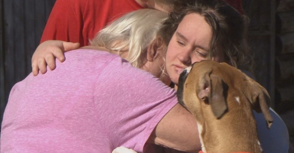 Un cachorro se convierte en el héroe del hogar tras salvar a toda su familia de un incendio Un cachorro se convierte en el héroe del hogar tras salvar a toda su familia de un incendio