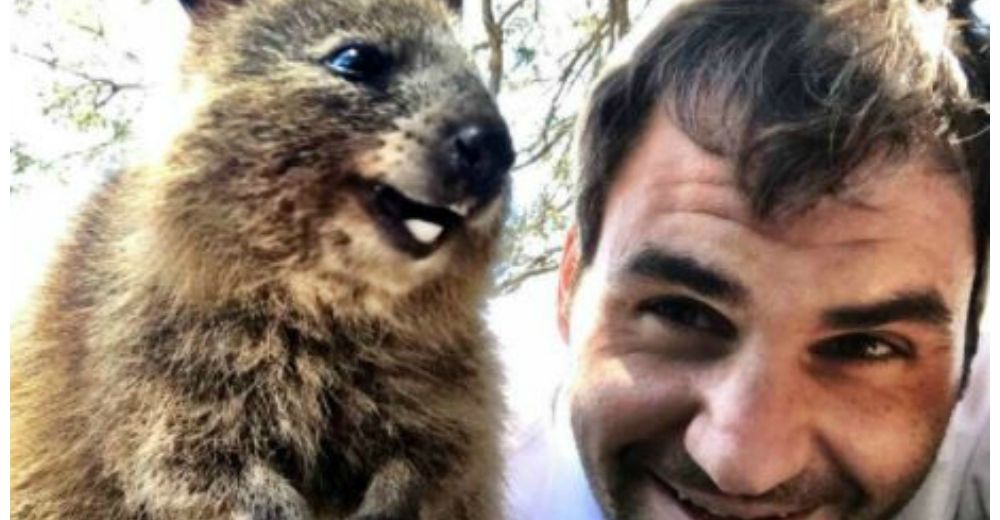 Hermoso – Roger Federer consigue capturar la mejor selfie con el animal más feliz del mundo