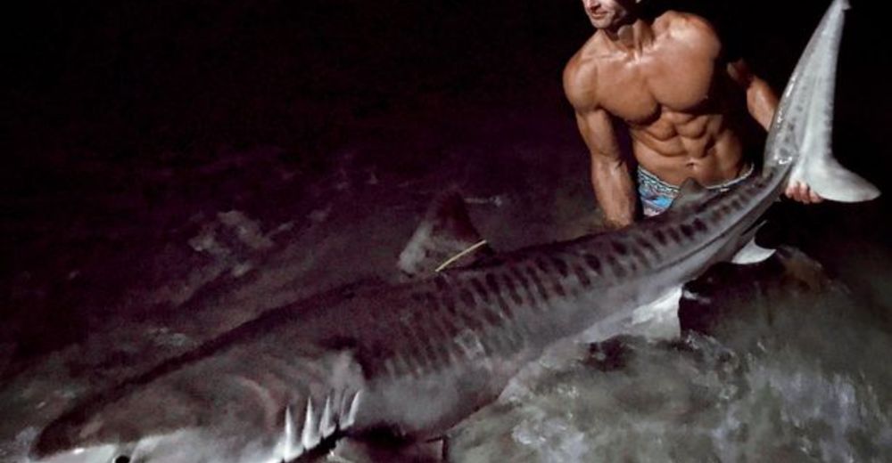 Un anzuelo oxidado atormentaba a un tiburón… pero este ángel le devolvió la plena libertad Un anzuelo oxidado atormentaba a un tiburón… pero este ángel le devolvió la plena libertad