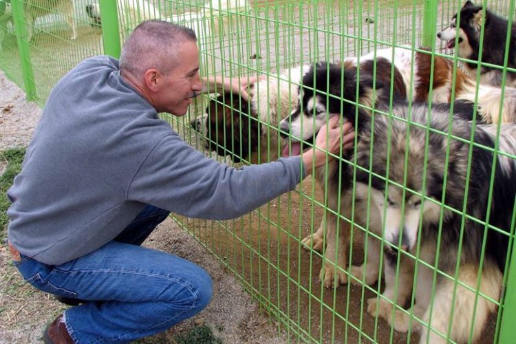 los Ángeles en Los Estados Unidos 0 muertes no kill meta animales sacrificados eutanasia perros gatos refugios animales proteccion shelter voluntariado voluntarios volunteers 