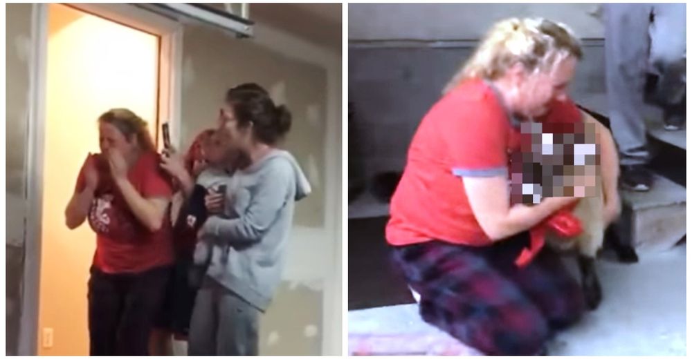 Hermoso – Una madre rompe en llanto cuando le regalan el adorable animal que siempre soñó Hermoso – Una madre rompe en llanto cuando le regalan el adorable animal que siempre soñó