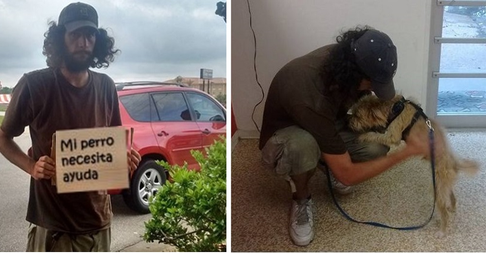 Utilizó un trozo de cartón para conseguir la ayuda necesaria y recuperar a su perrito