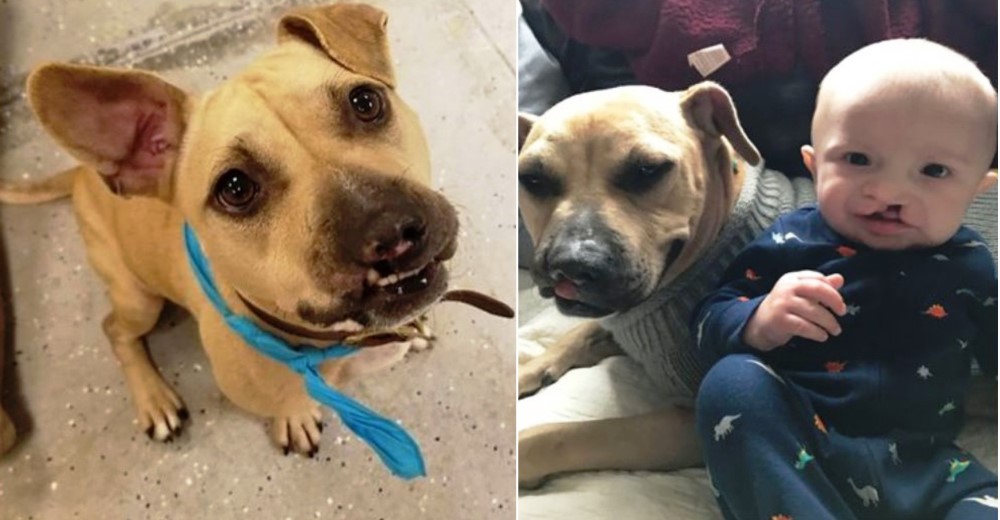 Jamás imaginó que la condición por la que la abandonaron sería la fuente de alegría para muchos