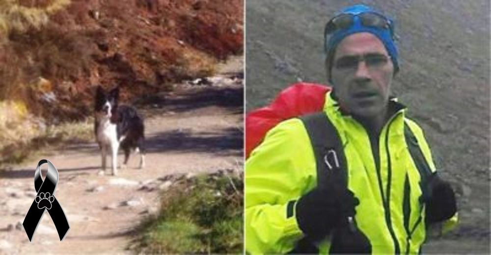 Tiene que elegir entre vivir o morir con su perro y decide abandonarlo en la montaña helada Tiene que elegir entre vivir o morir con su perro y decide abandonarlo en la montaña helada
