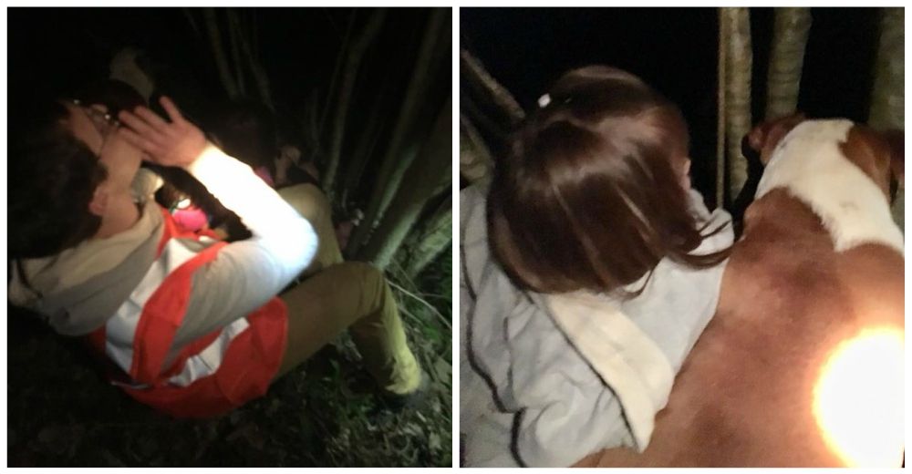 Dos niñas desaparen en el bosque… Y su pitbull jamás se apartó de su lado