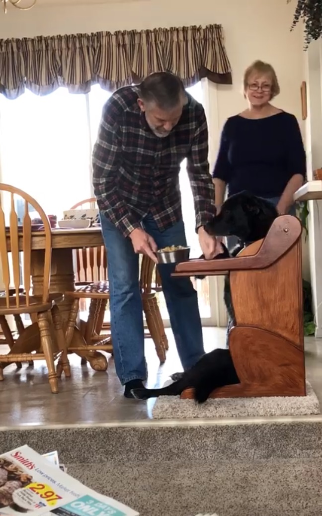 perrita daisy no puede comer bien pues tiene una discapacidad enfermedad megaesofago asi que su familia le hace una silla para comer especial y la perrita la aprendio a usar en un santiamen 