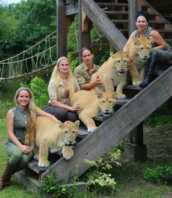 un tigre blanco y un león blanco tuvieron cachorros los únicos 4 tigres leones blancos del mundo ivory Saraswati los cachorros son asombrosos Myrtle Beach Safari in South Carolina