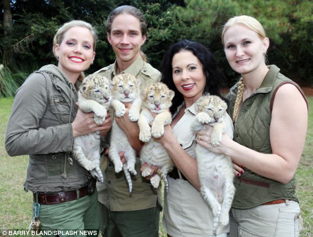 un tigre blanco y un león blanco tuvieron cachorros los únicos 4 tigres leones blancos del mundo ivory Saraswati los cachorros son asombrosos Myrtle Beach Safari in South Carolina