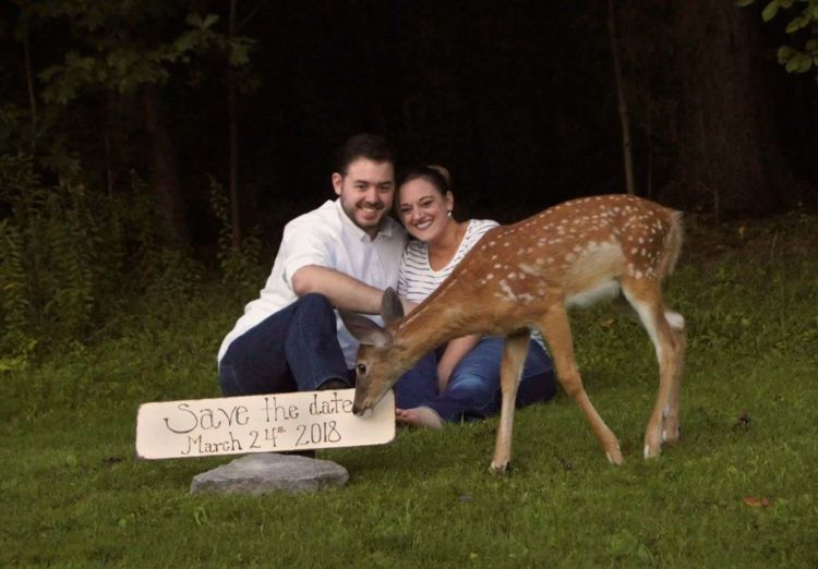 esta mujer dejo la puerta de su cochera abierta y lo que encontró adentro la sorprendió 3 bebes venados silvestres amscoli rehabilitar animales silvestres rehab wildlife care orphan deer fawn