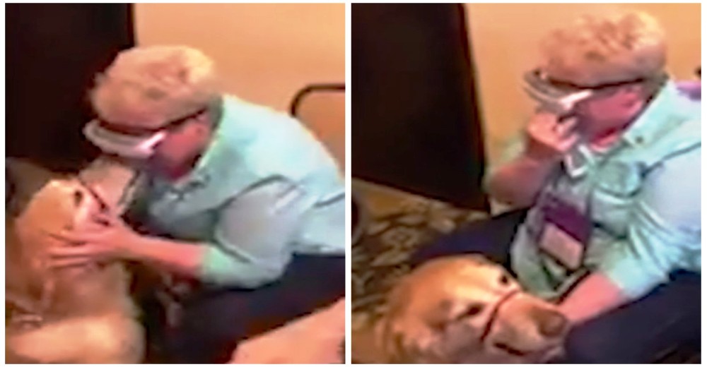 Graban el conmovedor momento en que una mujer ciega lograr ver a su perro guía por primera vez Graban el conmovedor momento en que una mujer ciega lograr ver a su perro guía por primera vez