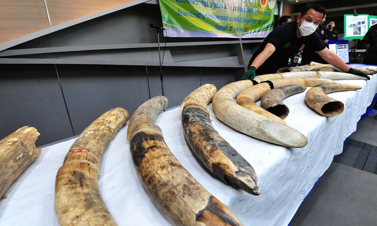 $65,000 per kilogram, through Suvarnabhumi Airport in the Thai capital