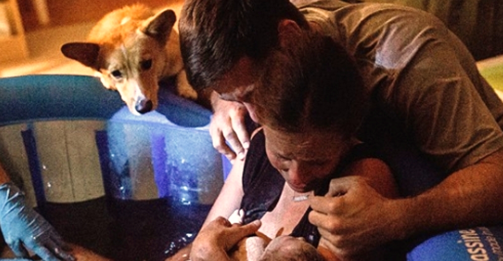 El amor incondicional de Ranger, un corgi que no se apartó de su dueña durante su parto El amor incondicional de Ranger, un corgi que no se apartó de su dueña durante su parto