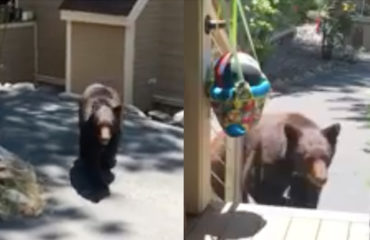 Oso California