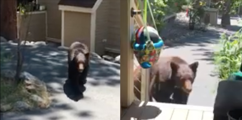 Oso California