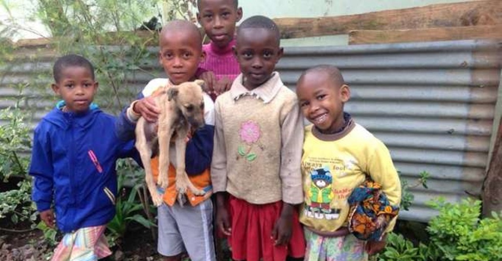 5 niños indigentes no estaban dispuestos a rendirse para salvar a un perrito de la calle 5 niños indigentes no estaban dispuestos a rendirse para salvar a un perrito de la calle