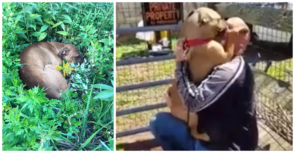 “Estaba tendido en la maleza con su cuerpo inmóvil y frío, realmente pensé que ya estaba muerto» “Estaba tendido en la maleza con su cuerpo inmóvil y frío, realmente pensé que ya estaba muerto»
