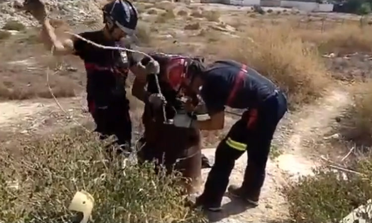 Bomberos España